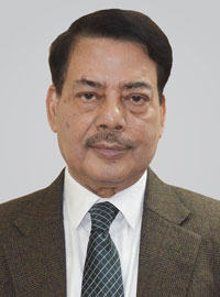 Prof. Dr. M Mujibul Hoque
 